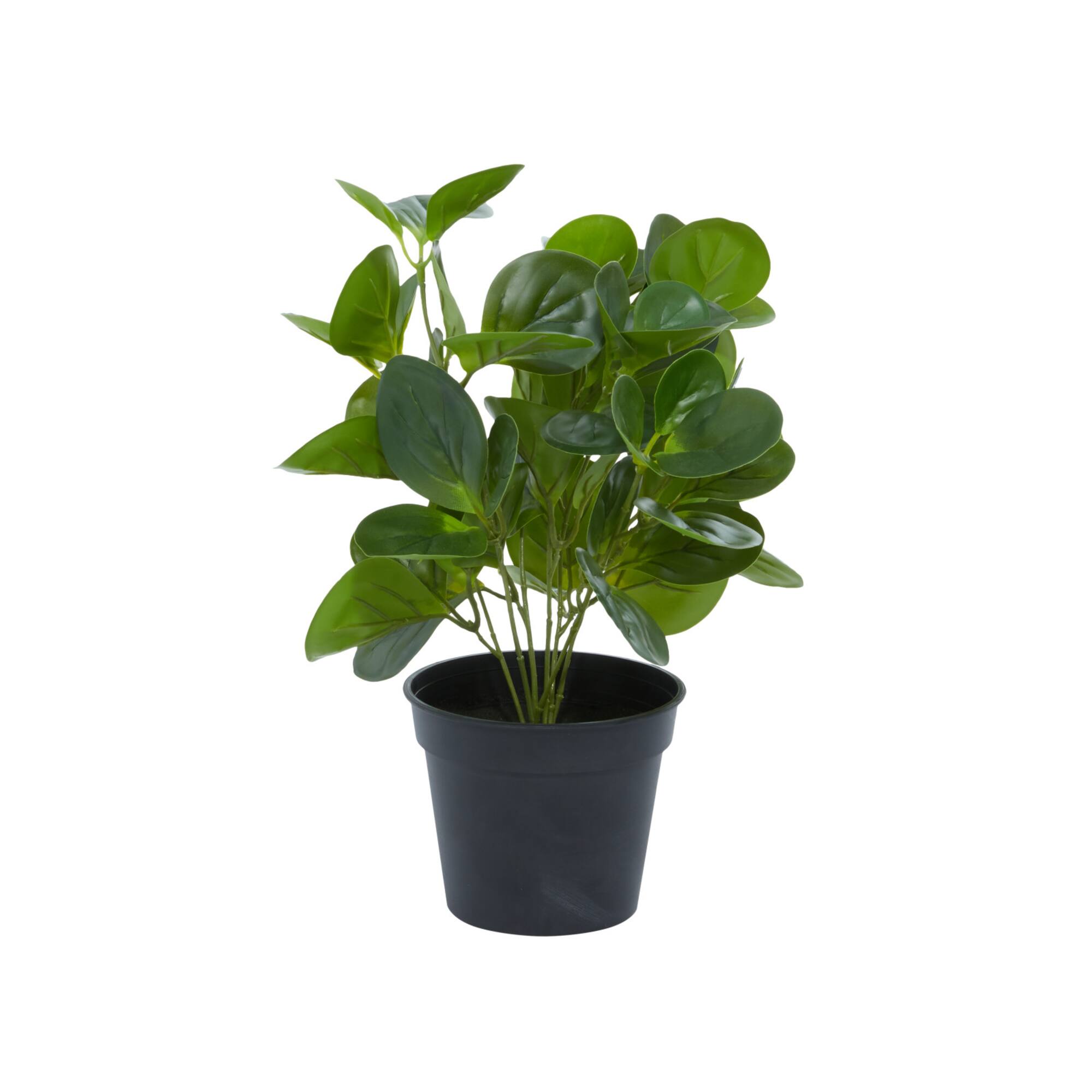 Green Plastic Traditional Artificial Foliage, 10" x 7" x 13"